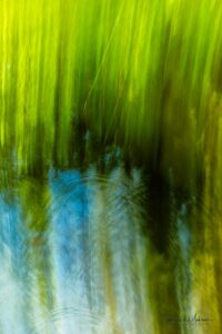Pond Reeds, Impressionist Photo